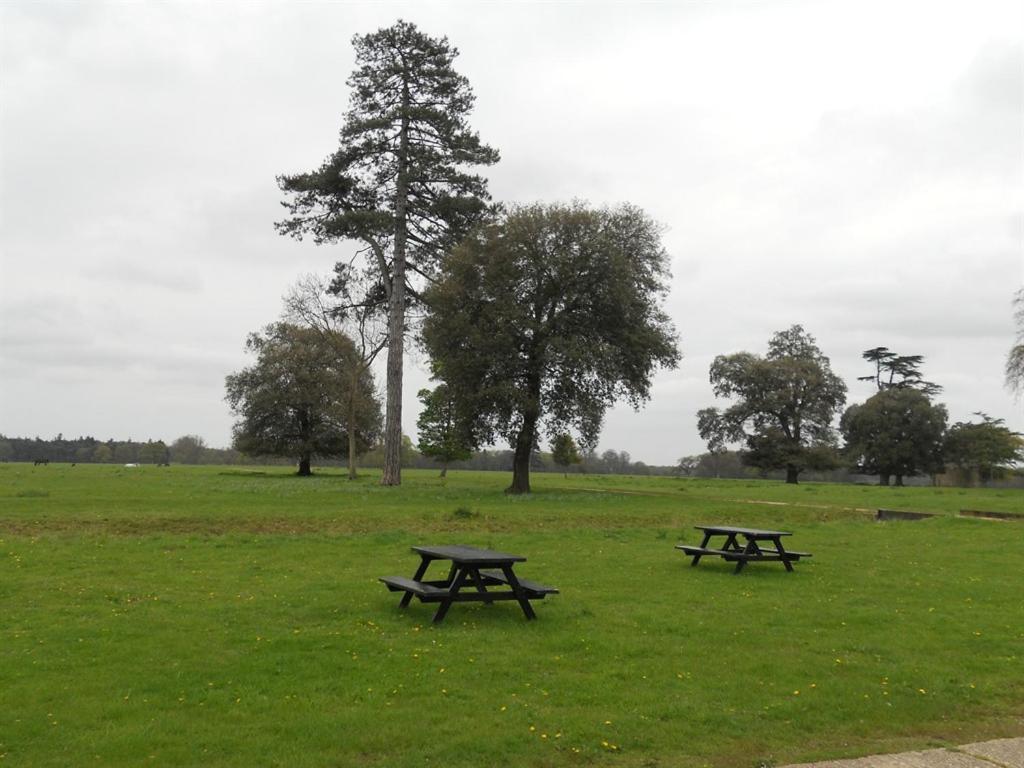 The Stables At Henham Park Southwold Exterior foto
