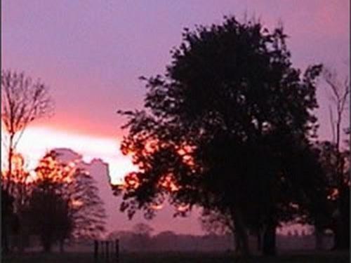 The Stables At Henham Park Southwold Exterior foto